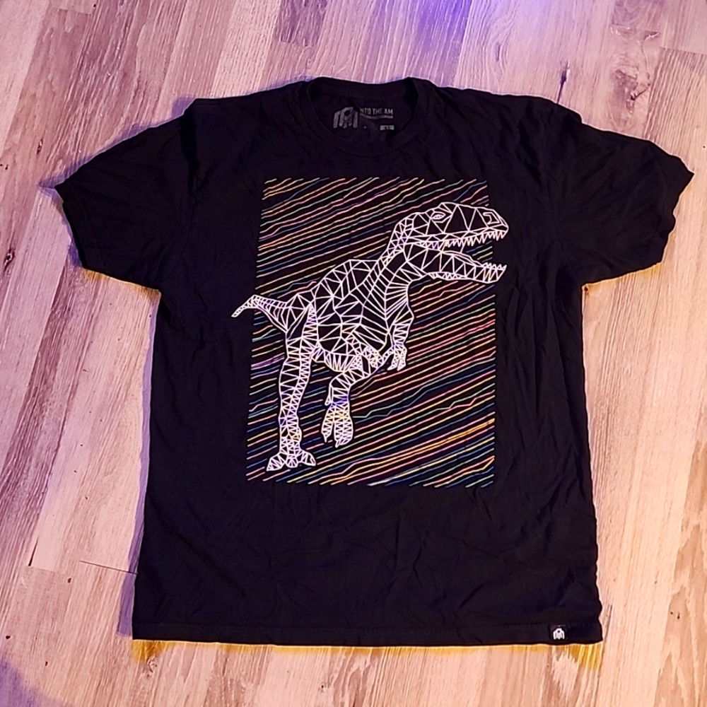 INTO THE AM TSHIRT